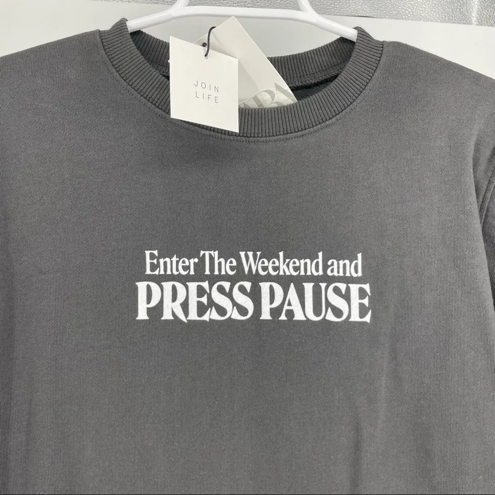 ZARA NWT WOMEN’S ENTER THE WEEKEND AND PRESS PAUSE DRESS SMALL GRAY - Picture 7 of 11